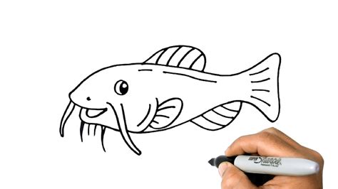 How to DRAW a CATFISH Easy Step by Step